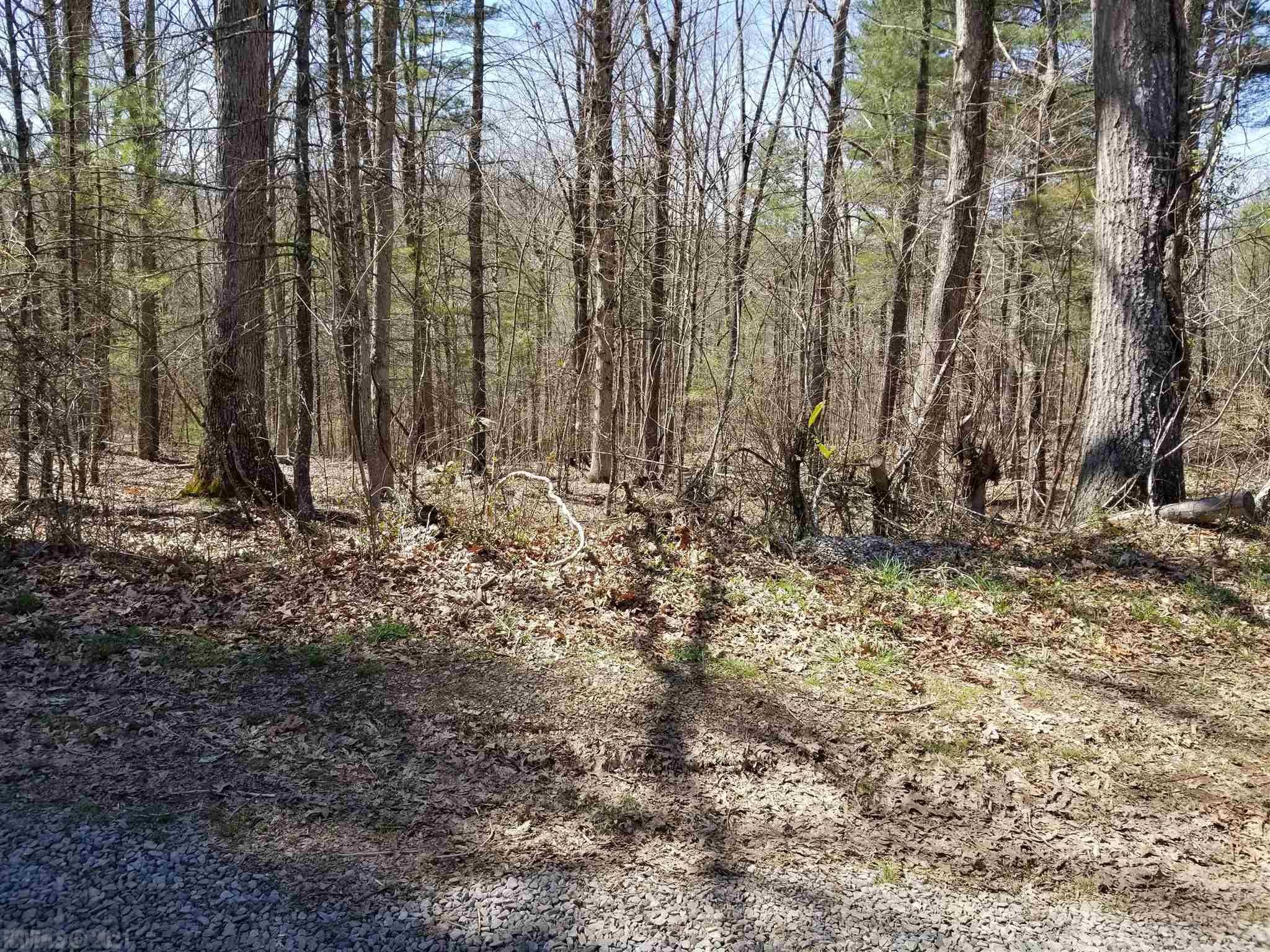 Tbd Tbd Road Pulaski, VA 24301 - Photo 6 of 9 Gallery Image 6