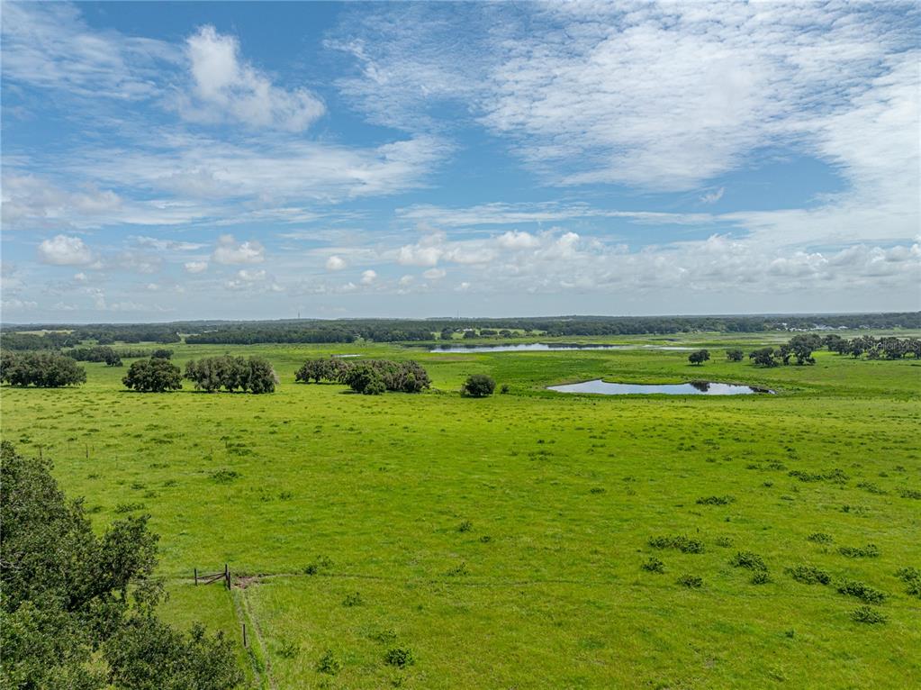 34868 Prospect Road Dade City, FL 33525 - Photo 95 of 95 Gallery Image 95