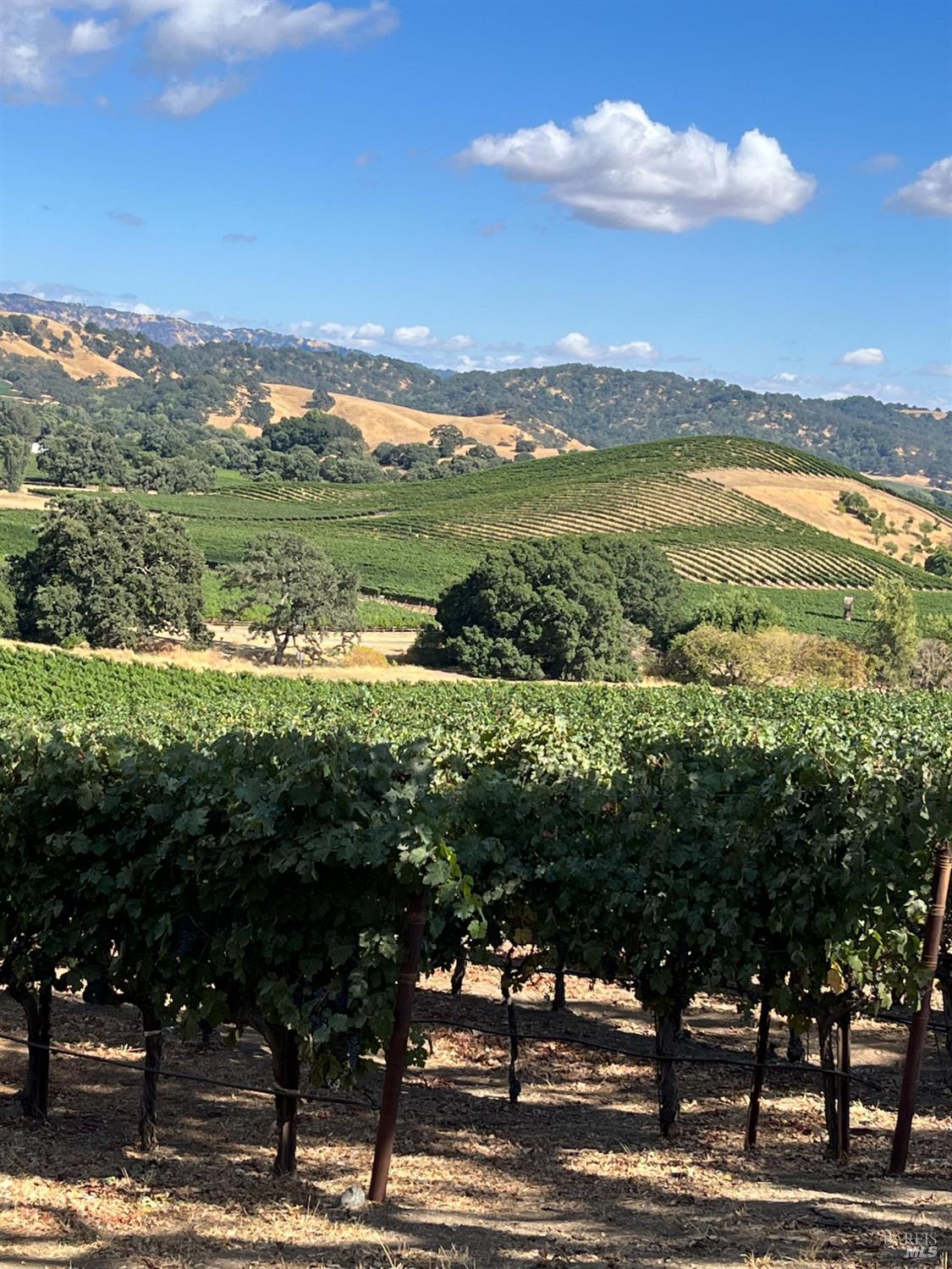 4060 Monticello Road Napa, CA 94558 - Photo 16 of 54