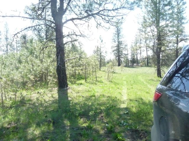 0 West Jensen Road Cheney, WA 99004 - Photo 1 of 12