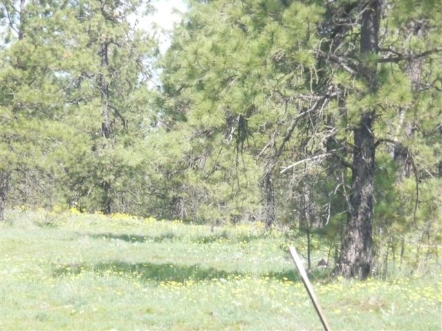 0 West Jensen Road Cheney, WA 99004 - Photo 12 of 12