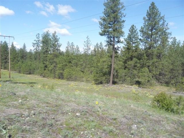 0 West Jensen Road Cheney, WA 99004 - Photo 6 of 12
