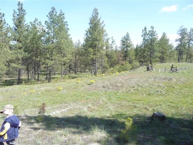 0 West Jensen Road Cheney, WA 99004 - Photo 7 of 12