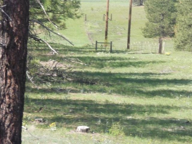 0 West Jensen Road Cheney, WA 99004 - Photo 9 of 12