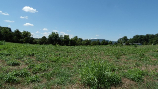 0 Ranchside Court Rock Island, TN 38581 - Photo 13 of 32