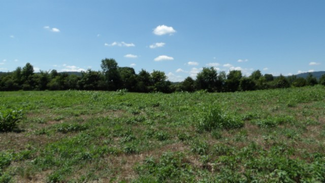 0 Ranchside Court Rock Island, TN 38581 - Photo 17 of 32