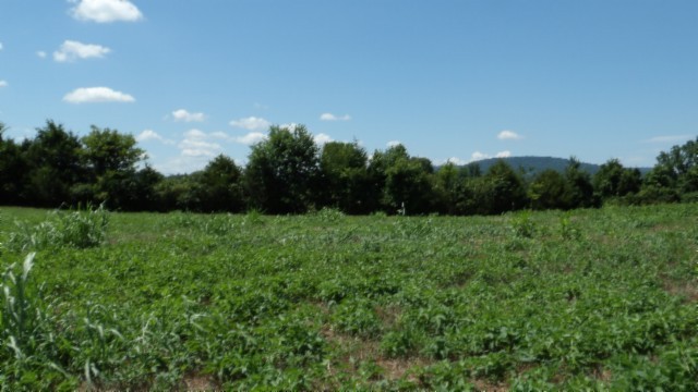 0 Ranchside Court Rock Island, TN 38581 - Photo 19 of 32