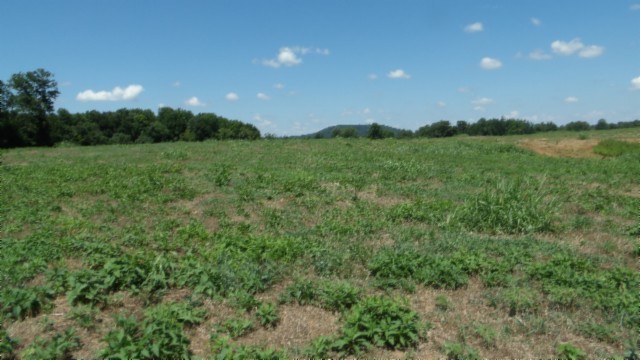 0 Ranchside Court Rock Island, TN 38581 - Photo 21 of 32