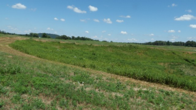 0 Ranchside Court Rock Island, TN 38581 - Photo 26 of 32