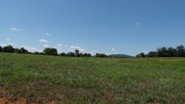 0 Ranchside Court Rock Island, TN 38581 - Photo 31 of 32