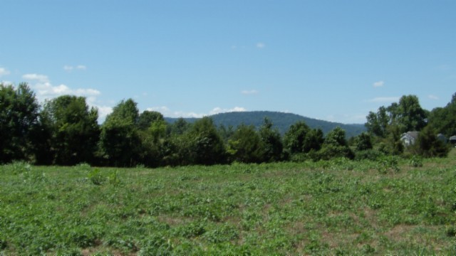 0 Ranchside Court Rock Island, TN 38581 - Photo 10 of 32