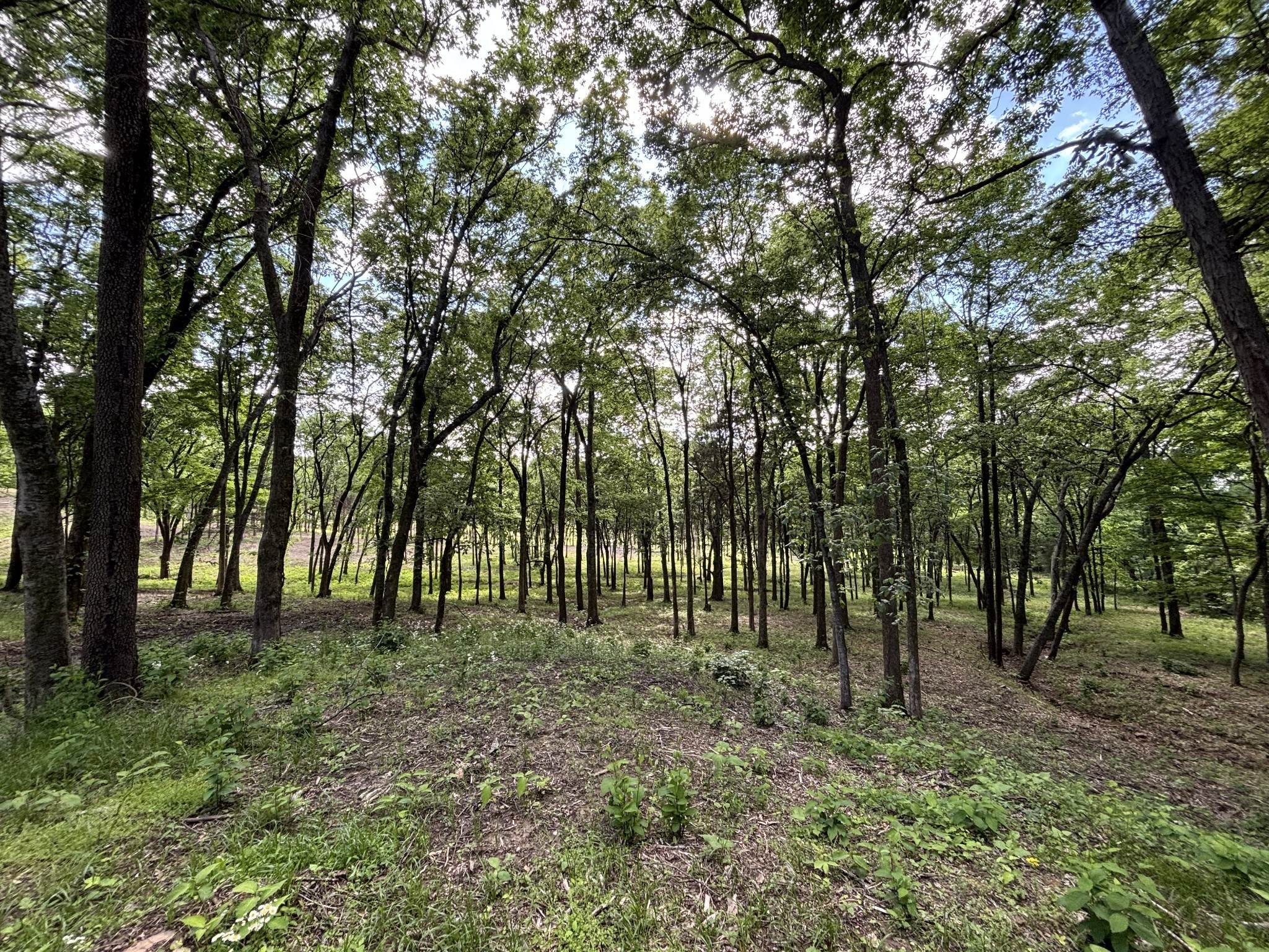 9205 Bowles Road Rockvale, TN 37153 - Photo 28 of 54 Gallery Image 28