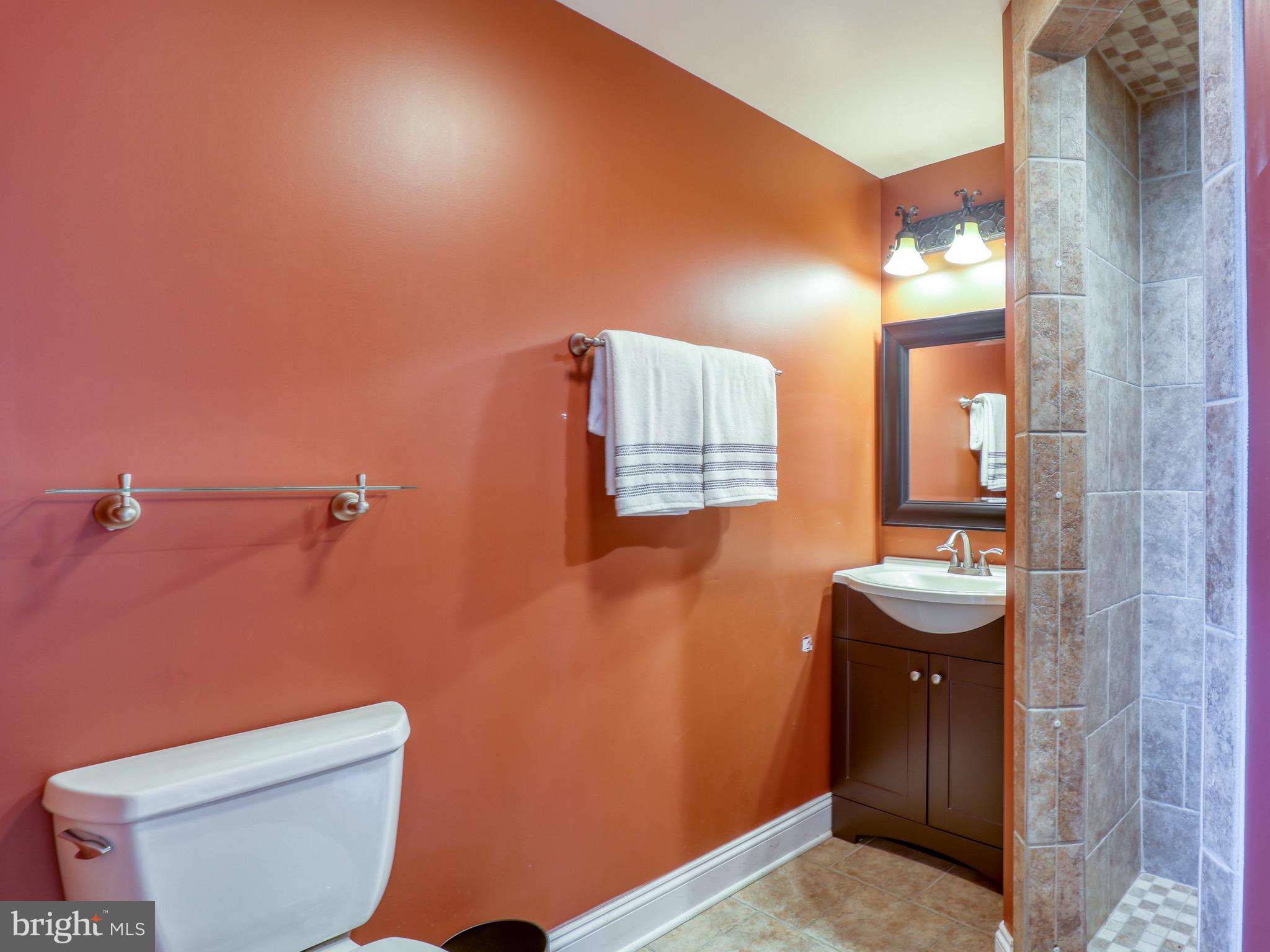 35059 Sunny Ridge Road Round Hill, VA 20141 - Photo 43 of 78 Full bath in lower level.
