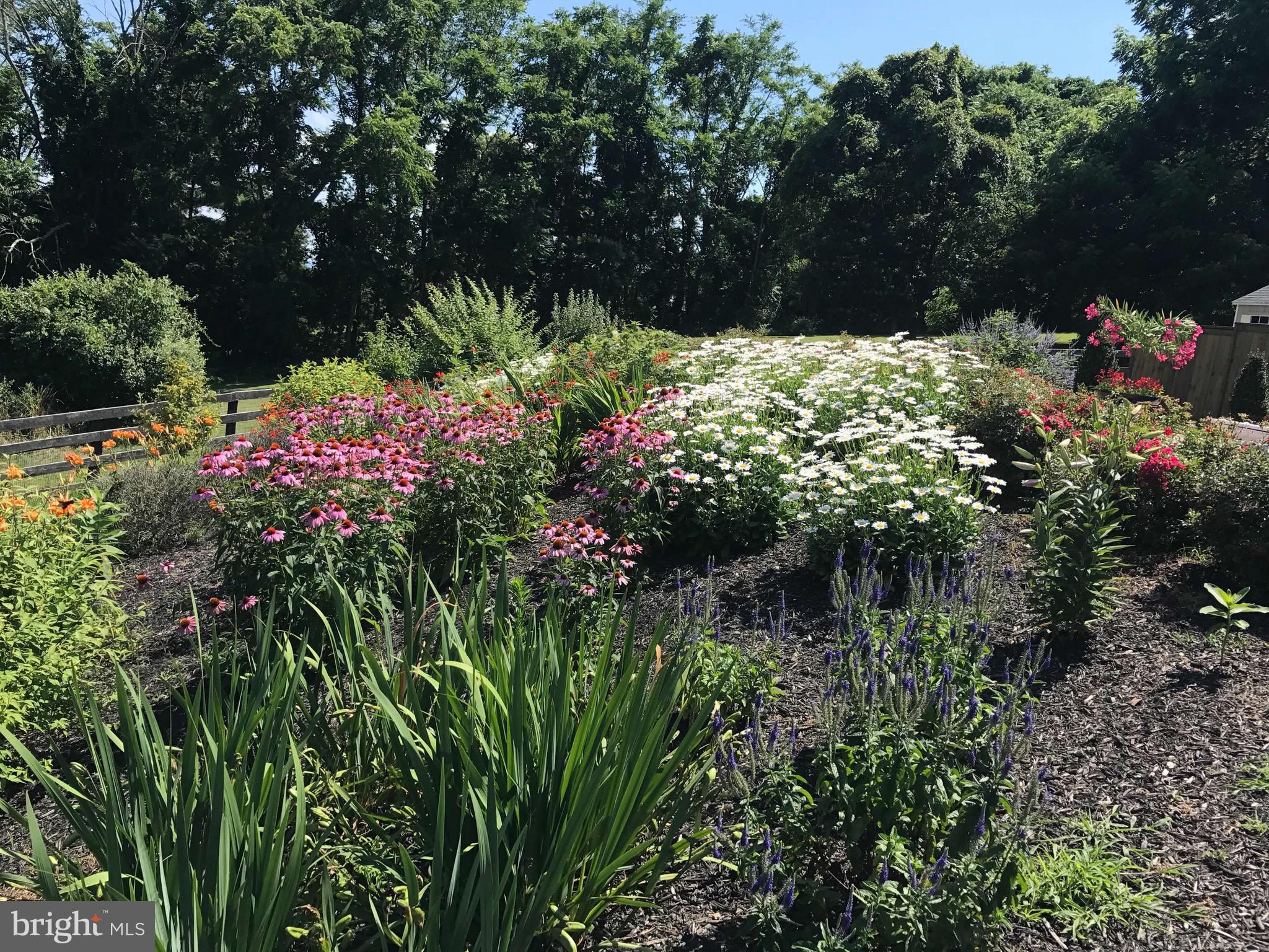 35059 Sunny Ridge Road Round Hill, VA 20141 - Photo 44 of 78 Beautiful landscaping