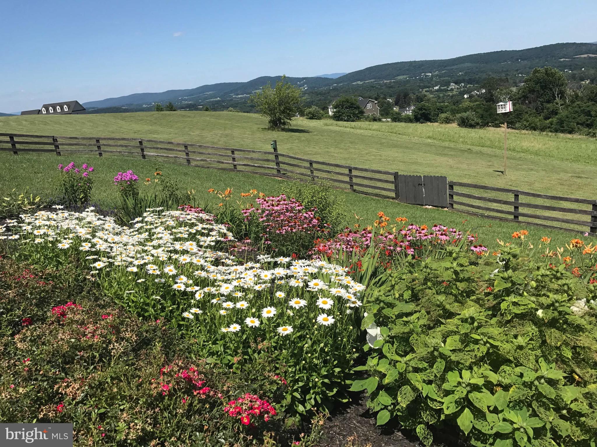 35059 Sunny Ridge Road Round Hill, VA 20141 - Photo 49 of 78