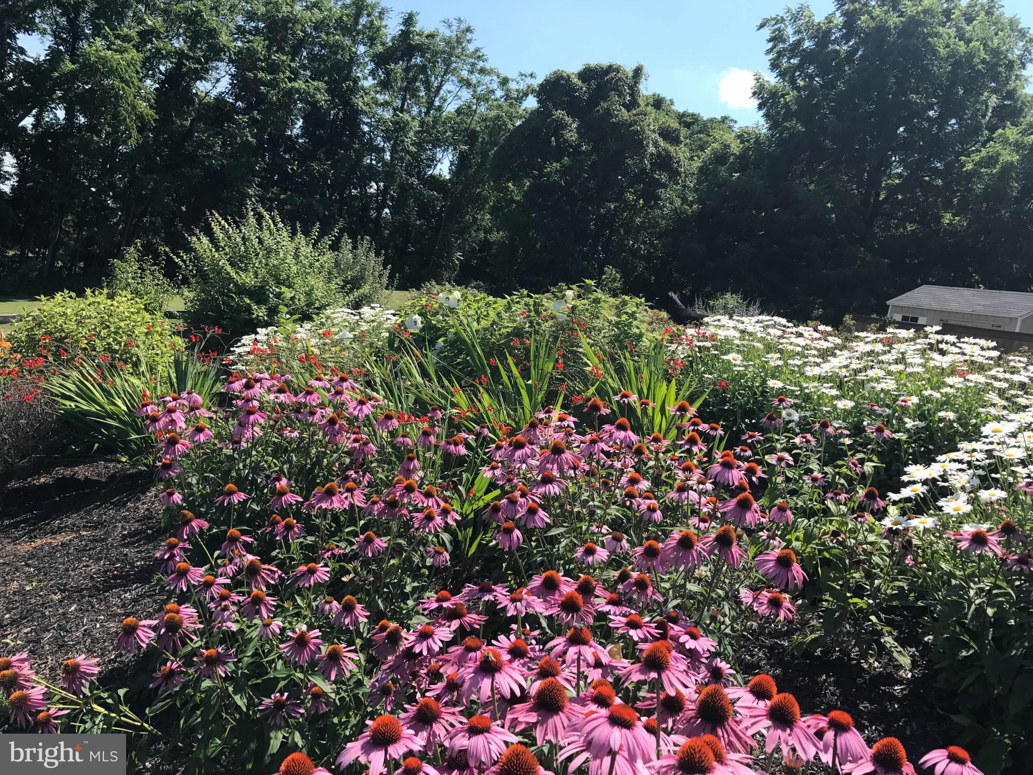 35059 Sunny Ridge Road Round Hill, VA 20141 - Photo 54 of 78