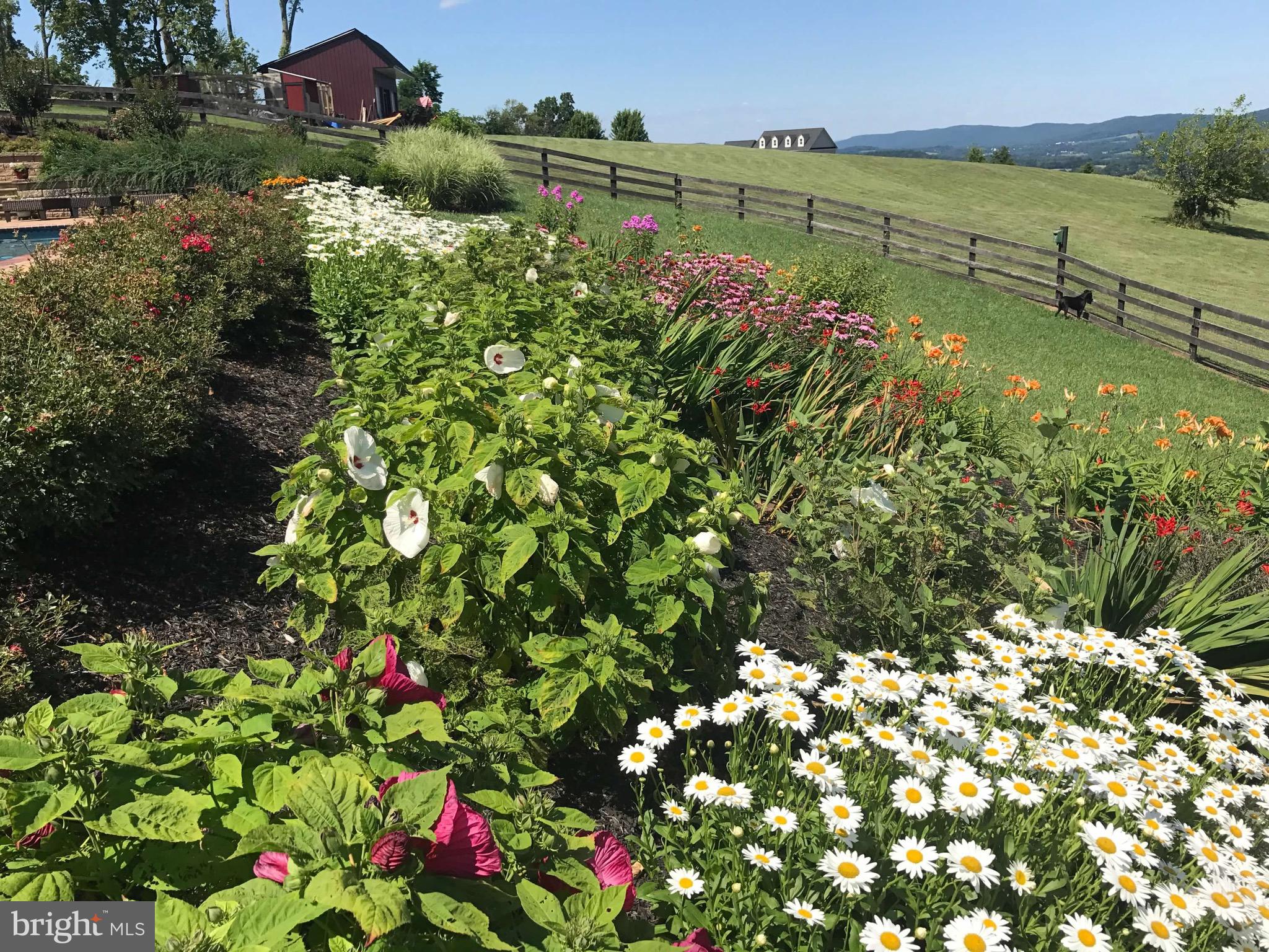 35059 Sunny Ridge Road Round Hill, VA 20141 - Photo 55 of 78