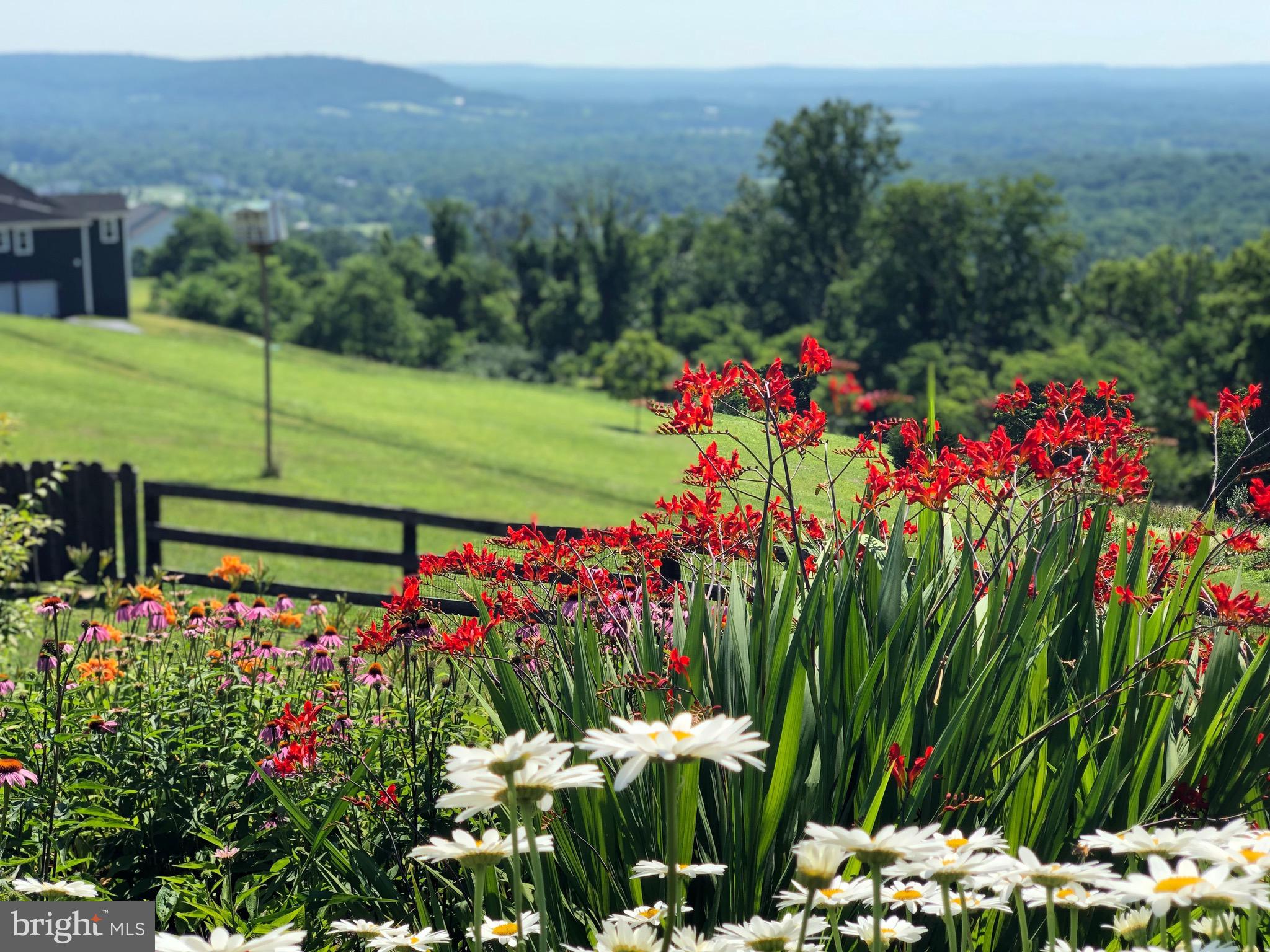 35059 Sunny Ridge Road Round Hill, VA 20141 - Photo 56 of 78 Panoramic views