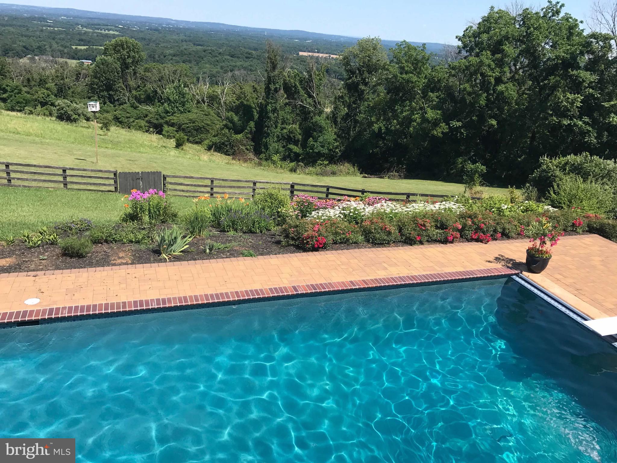 35059 Sunny Ridge Road Round Hill, VA 20141 - Photo 73 of 78 18 x 40 Saltwater Pool