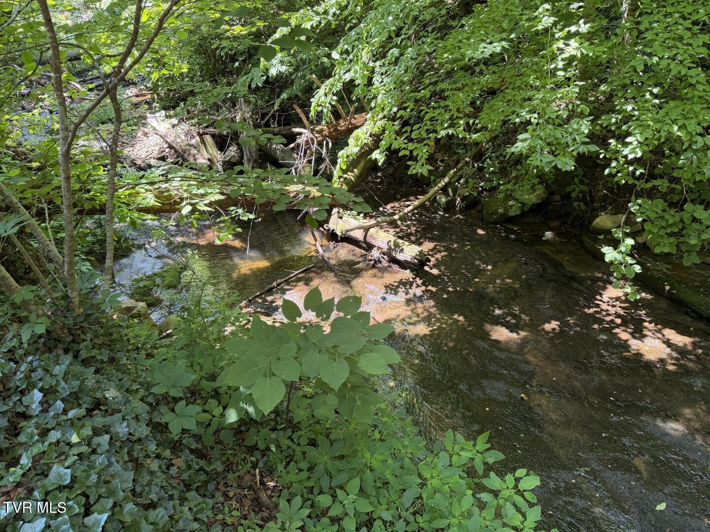 969 Carson Springs Road Newport, TN 37821 - Photo 26 of 35 24.5