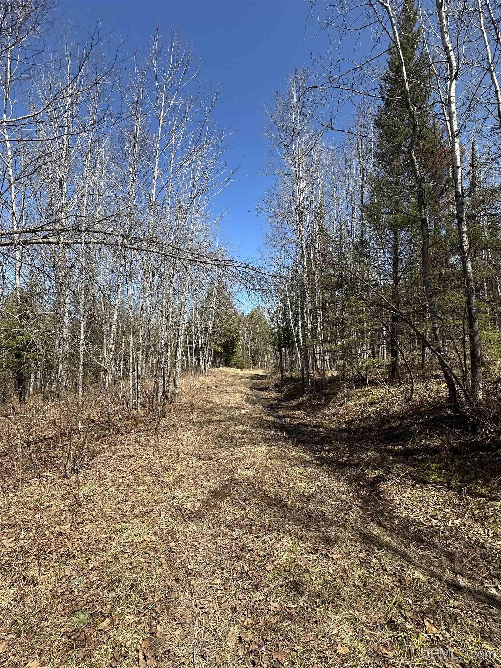 69 Old 69 Road Crystal Falls, MI 49920 - Photo 16 of 21