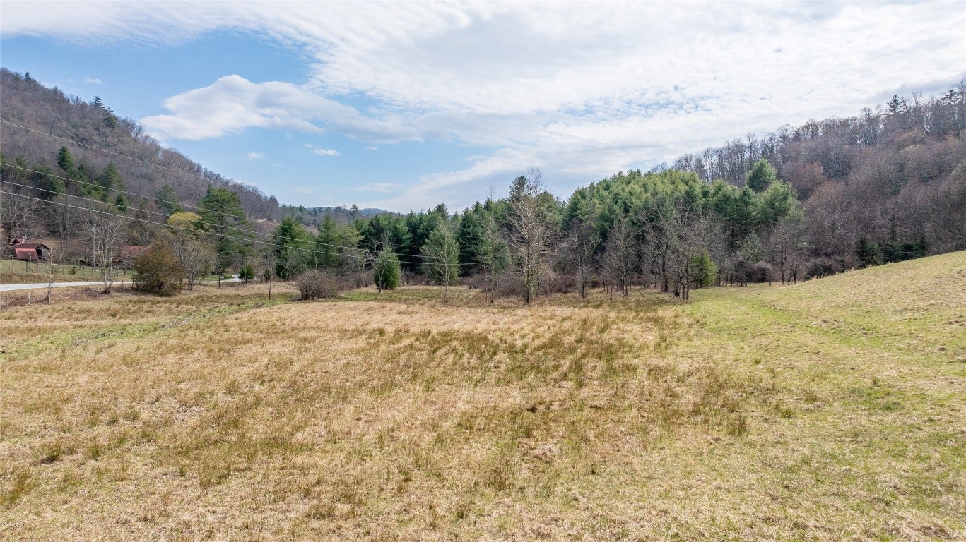 1900 Bee Tree Road Glenville, NC 28736 - Photo 21 of 38 Gallery Image 21