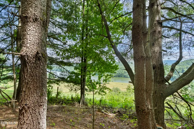 $295,000 | 21468 Mandalay Lane, Abingdon, VA 24211