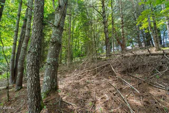 $295,000 | 21468 Mandalay Lane, Abingdon, VA 24211