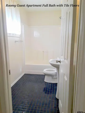 a bathroom with a sink and a toilet