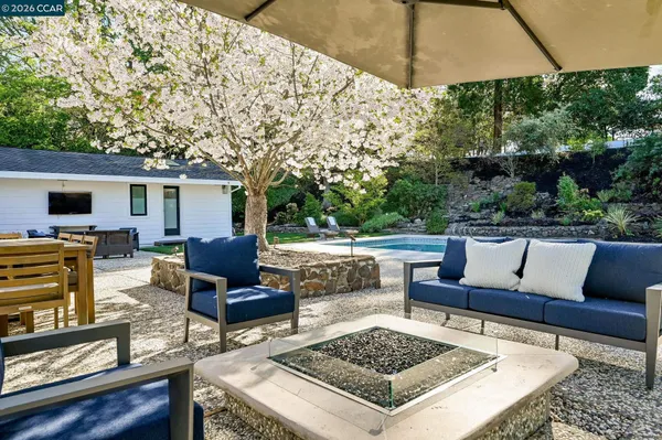 a view of a garden with plants