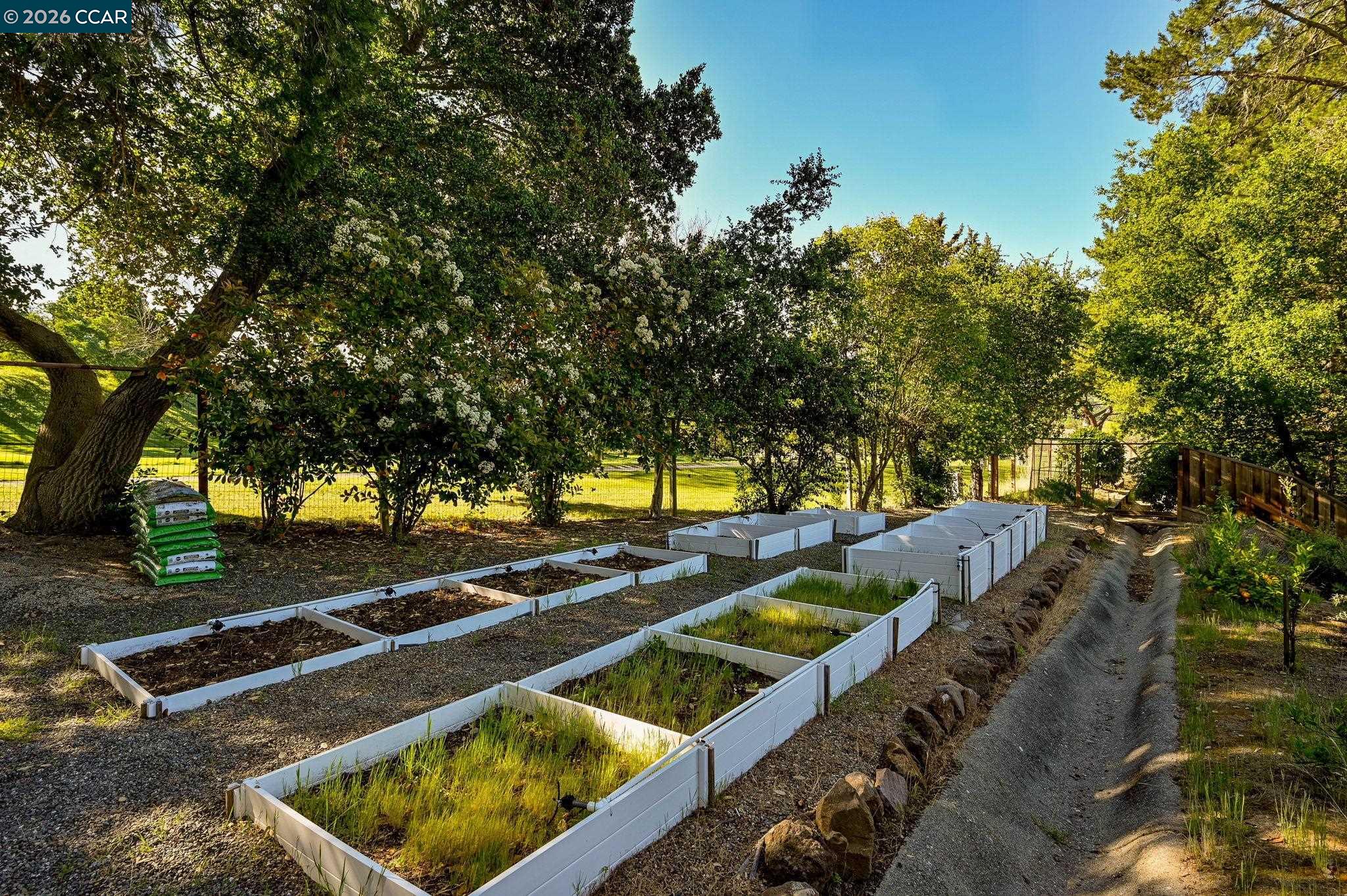 46 Tam O Shanter Road Alamo, CA 94507 - Photo 47 of 55