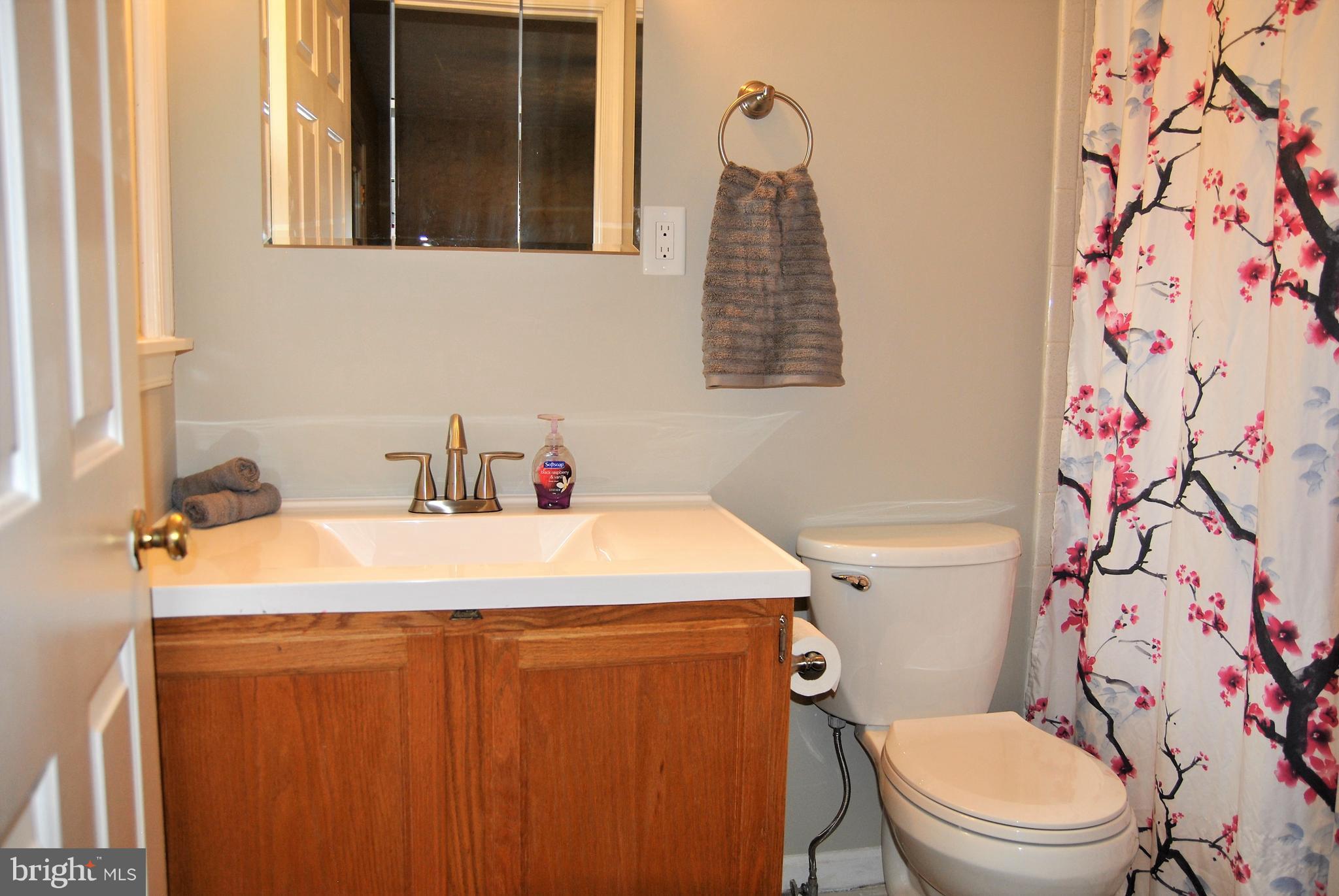 572 Highridge Road Front Royal, VA 22630 - Photo 11 of 26 a bathroom with a sink toilet and shower