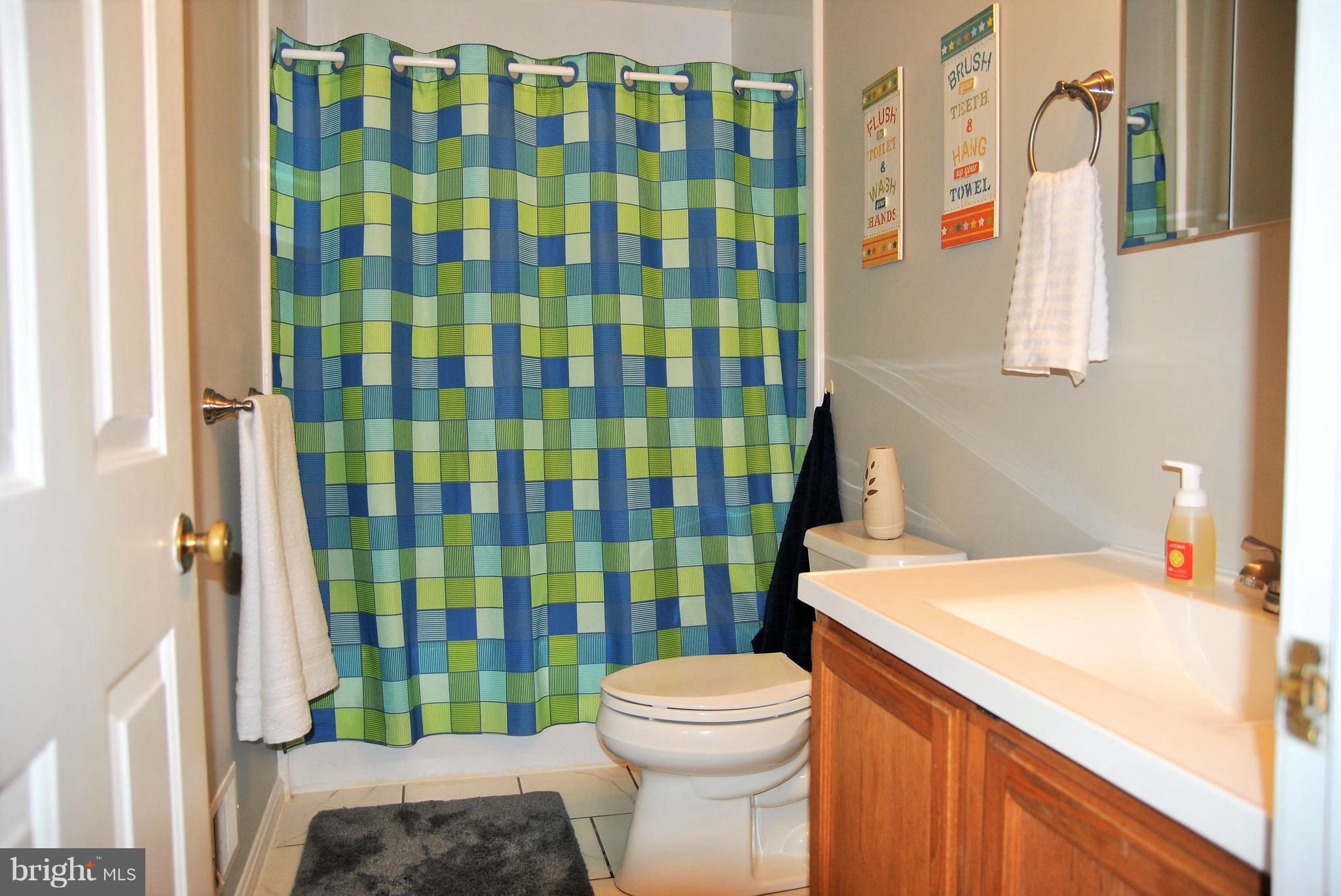 572 Highridge Road Front Royal, VA 22630 - Photo 8 of 26 a bathroom with a sink a toilet and shower curtain