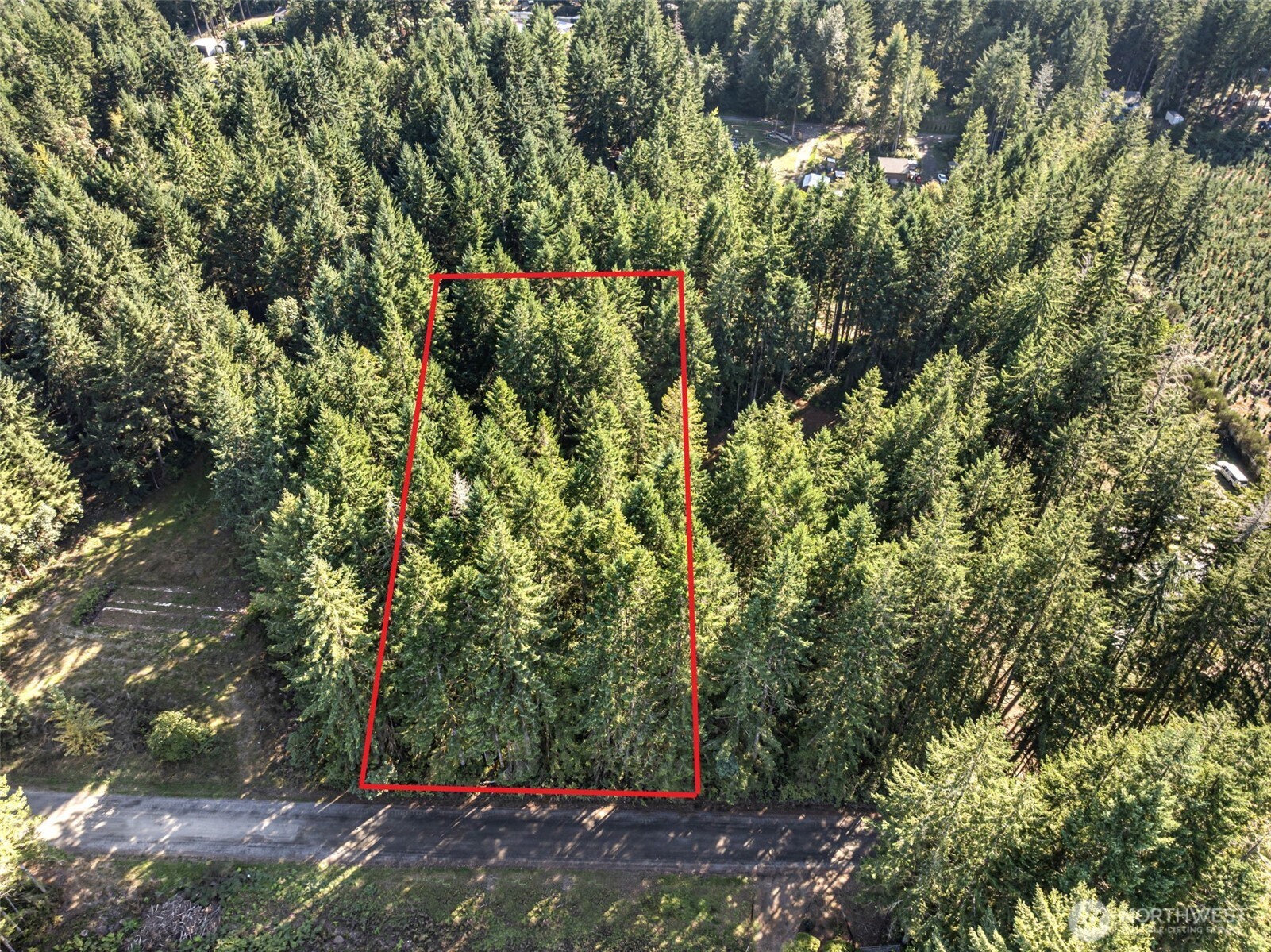 20 Webb Road Southwest Lakebay, WA 98349 - Photo 1 of 11 a view of a forest with trees