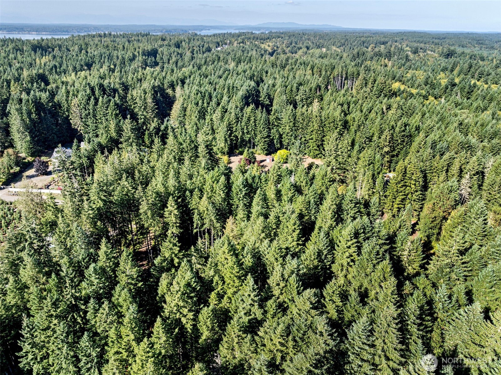 20 Webb Road Southwest Lakebay, WA 98349 - Photo 8 of 11 a view of a green field