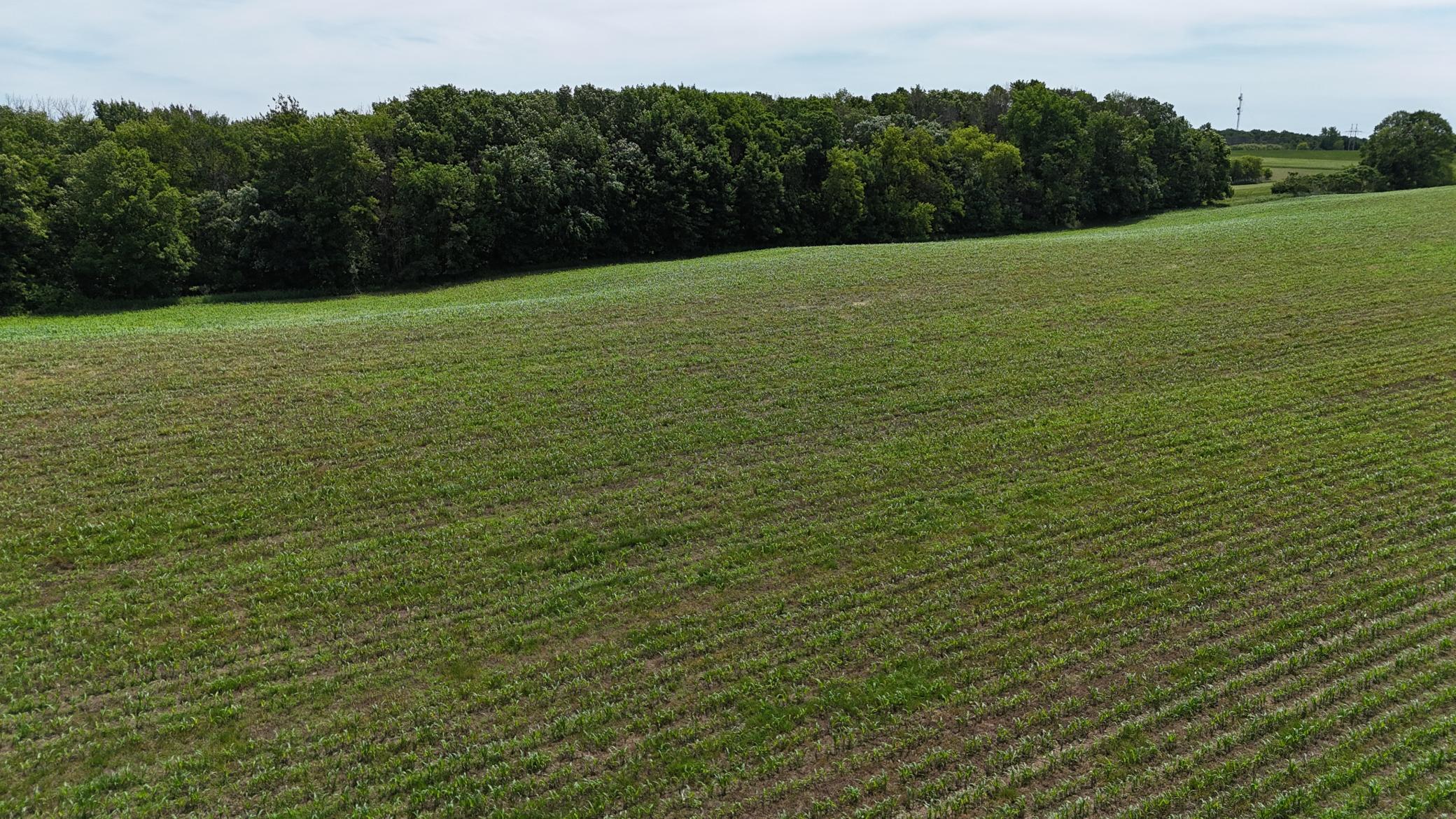 Tbd Tbd 230th Baldwin, WI 54002 - Photo 41 of 56
