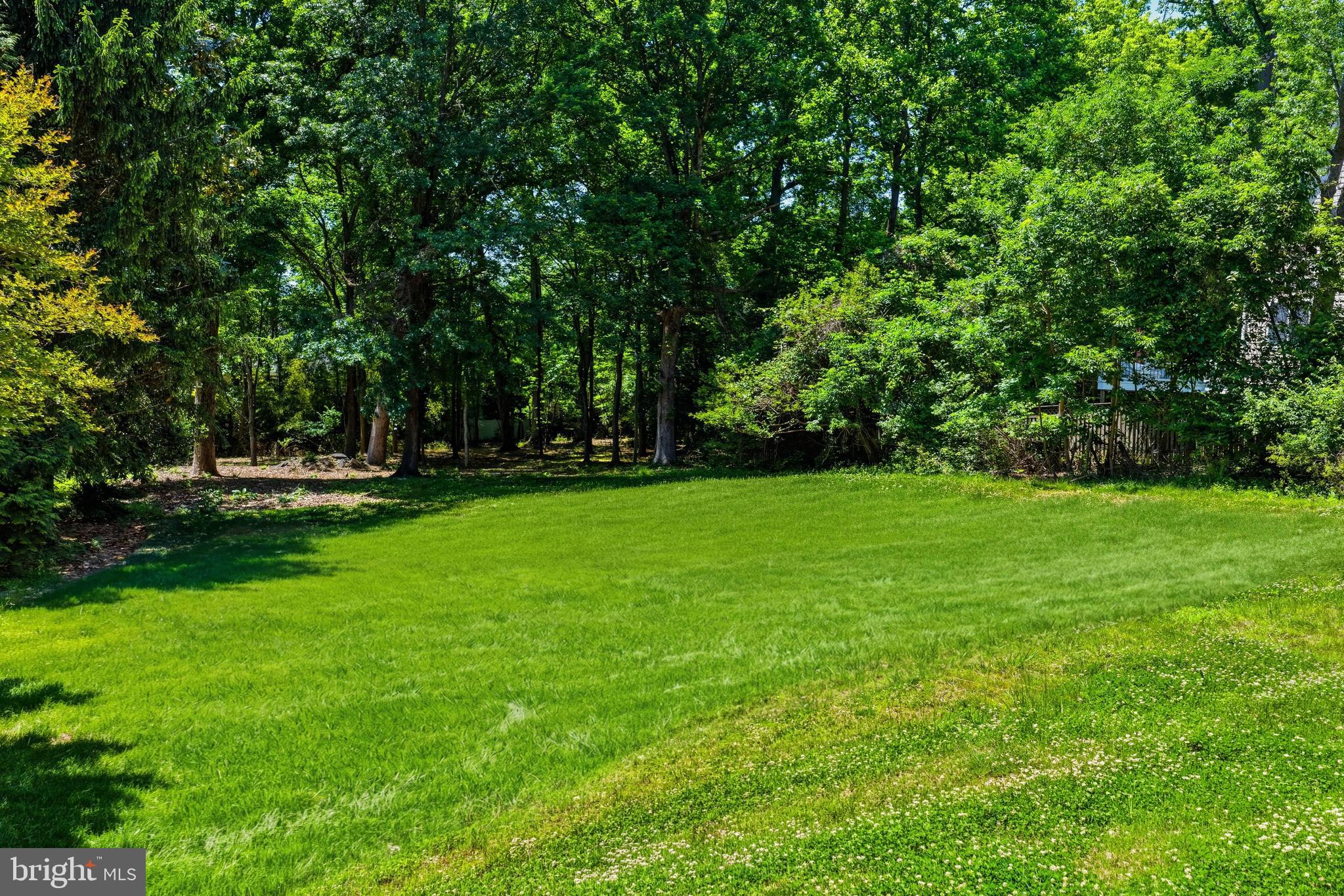 1914 Birch Road McLean, VA 22101 - Photo 4 of 6 a view of a park with large trees
