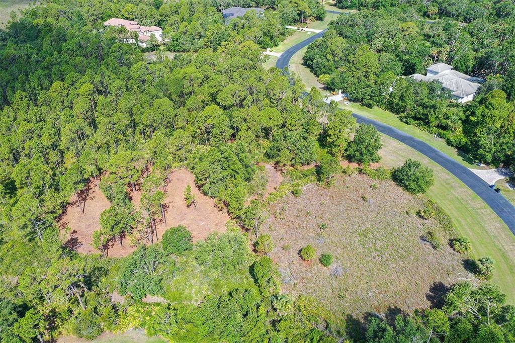 10709 Leafwing Drive Sarasota, FL 34241 - Photo 13 of 27 a view of a garden with a tree