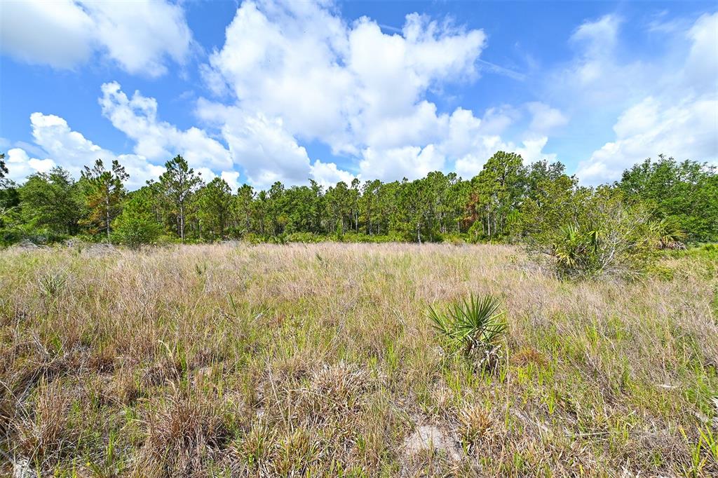 10709 Leafwing Drive Sarasota, FL 34241 - Photo 15 of 27 a view of lake