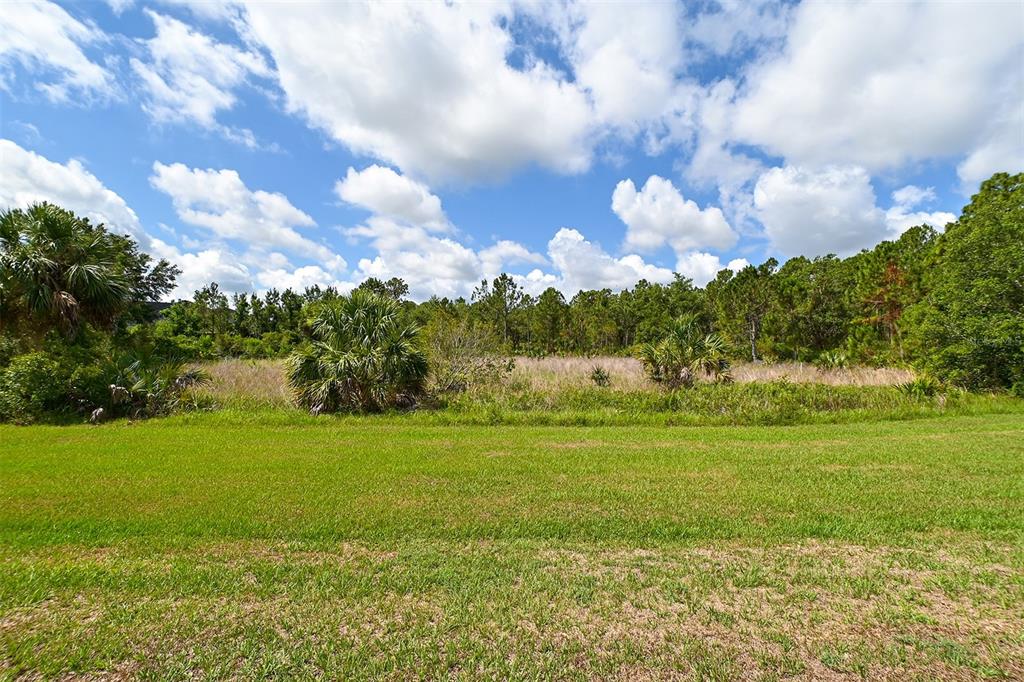 10709 Leafwing Drive Sarasota, FL 34241 - Photo 16 of 27 a view of a big yard with lots of green space