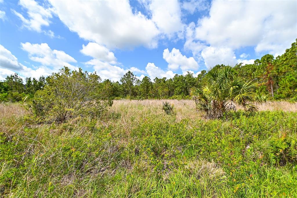 10709 Leafwing Drive Sarasota, FL 34241 - Photo 17 of 27