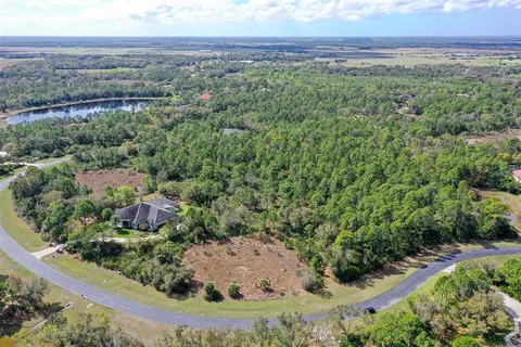 a view of a forest that has a tree