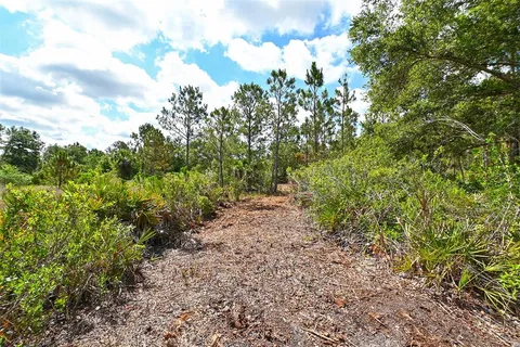 a view of outdoor space and trees