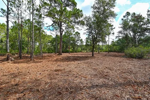 a view of outdoor space with trees