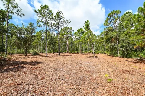 a view of backyard with green space