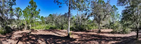 a view of a park that has large trees