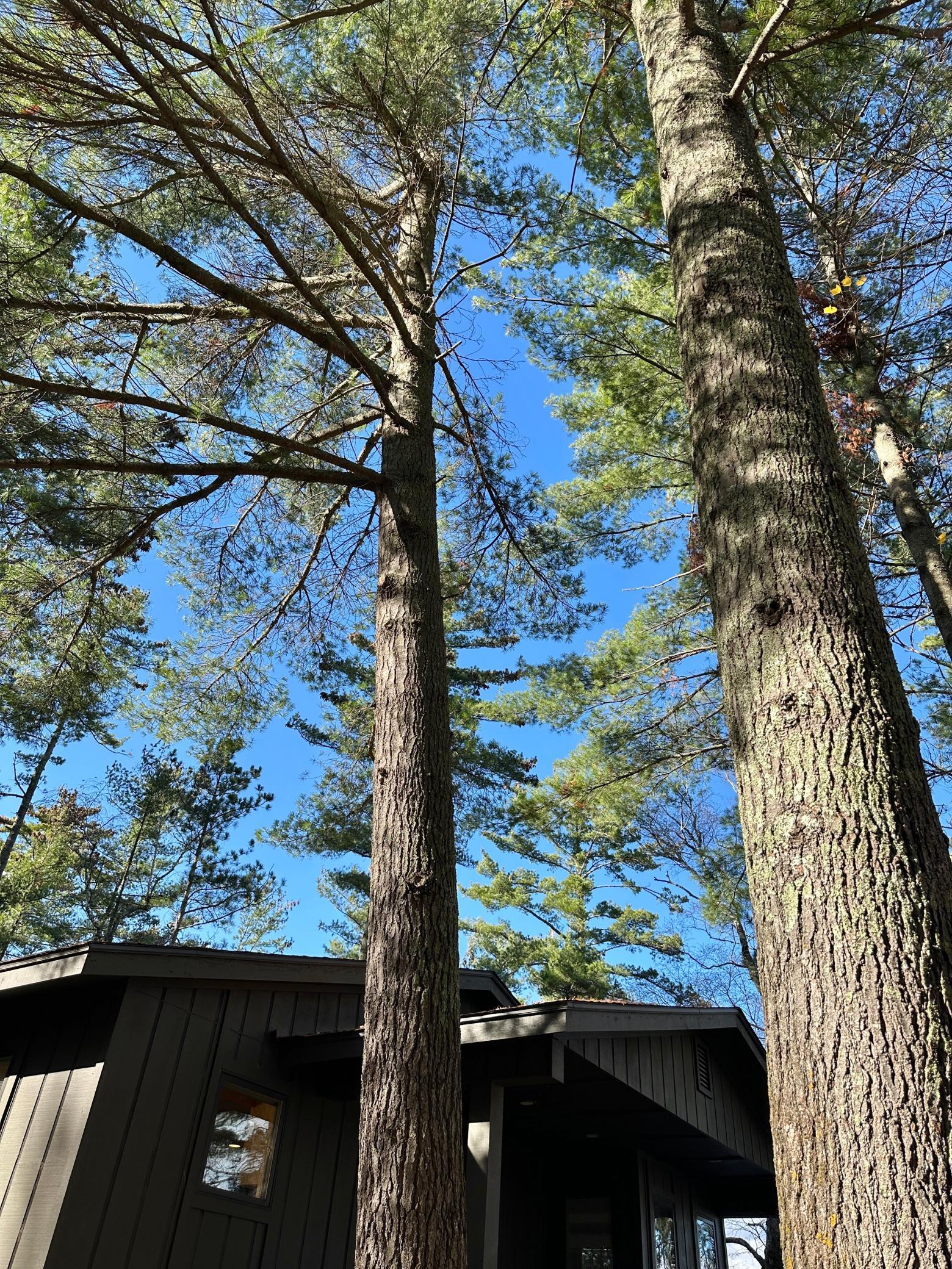 5904 Lk May Drive Northwest Akeley, MN 56433 - Photo 63 of 87