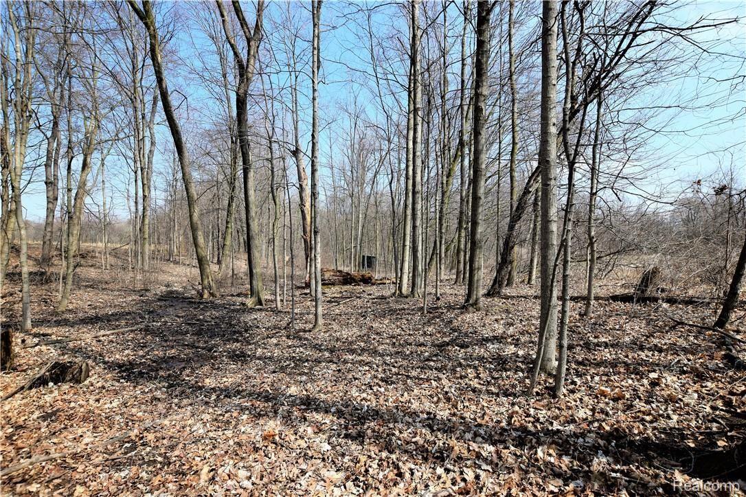 12405 East Potter Road Davison, MI 48423 - Photo 28 of 36 DSC_0074 (2).JPG