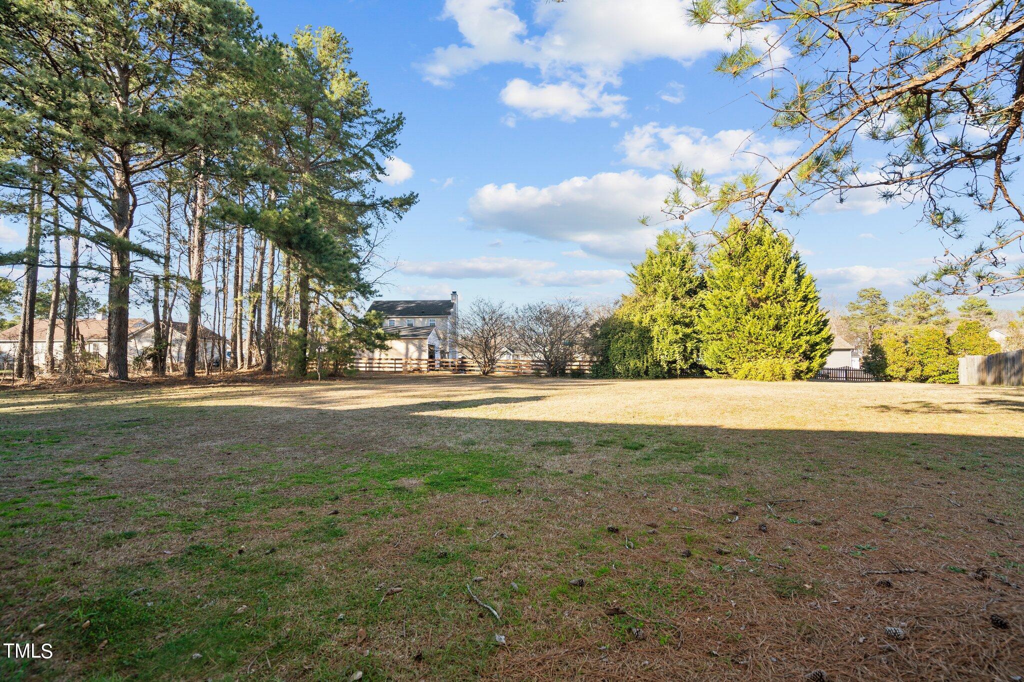 6421 Silver Spring Court Willow Spring, NC 27592 - Photo 37 of 44 36-web-or-mls-_NFP0968
