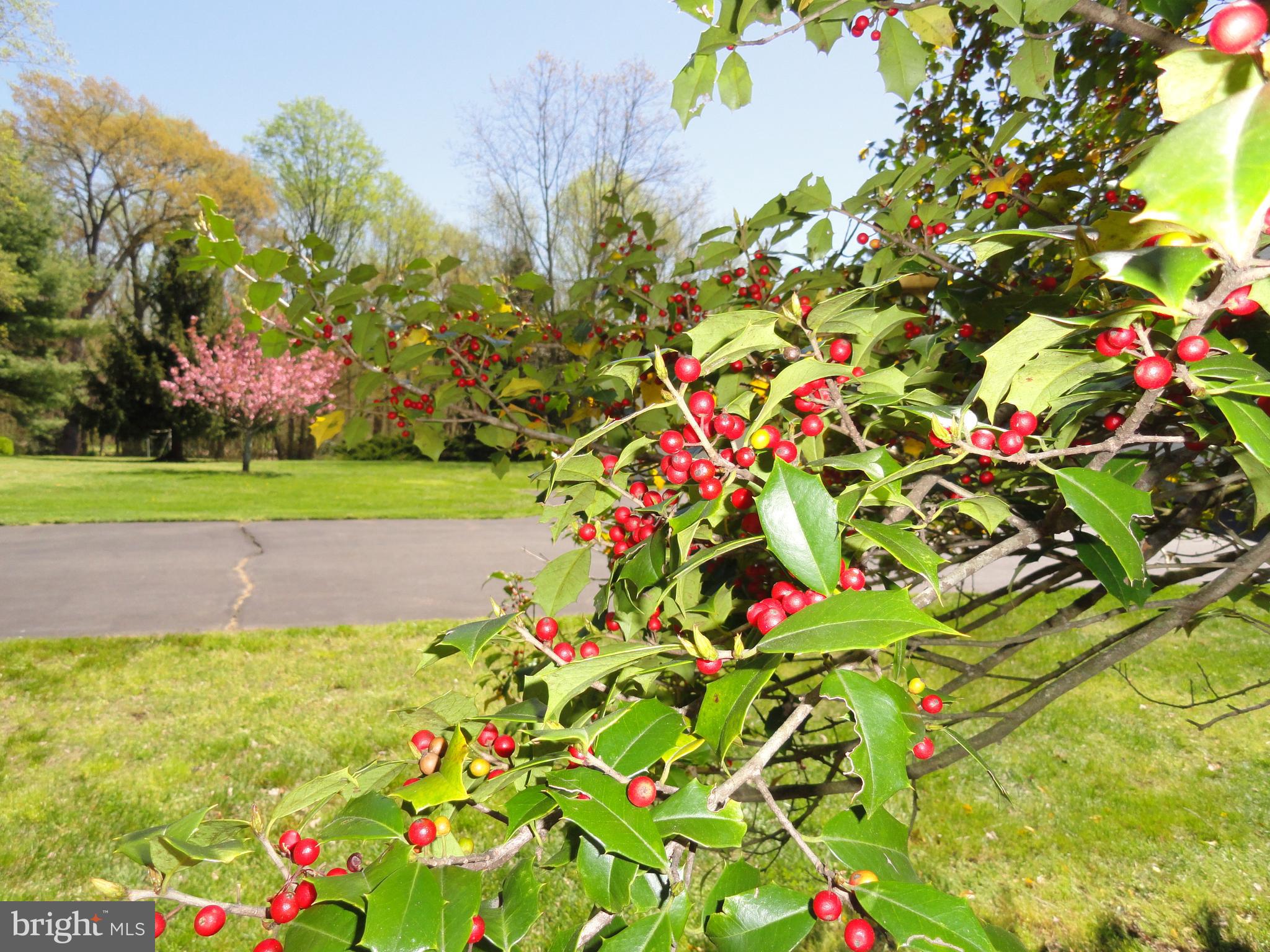 27 Ivy Lane Wrightstown, NJ 08562 - Photo 36 of 100